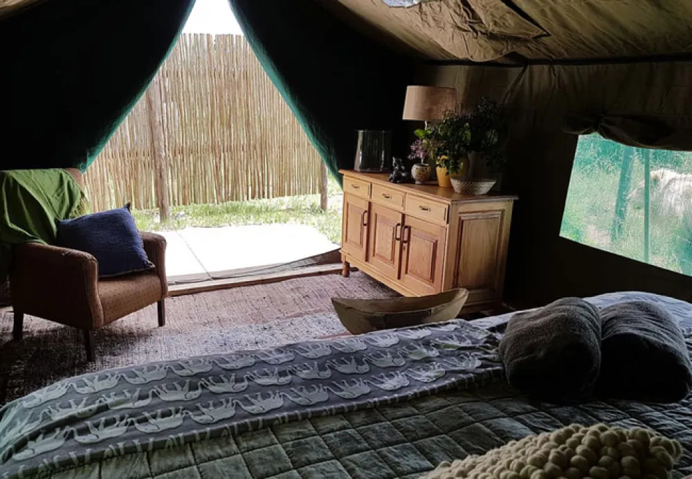 Love Lions Alive Sanctuary