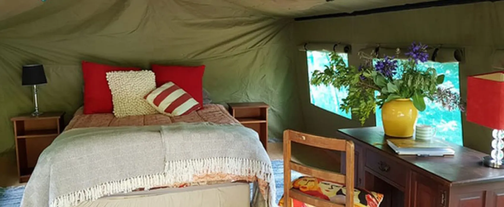 Love Lions Alive Sanctuary