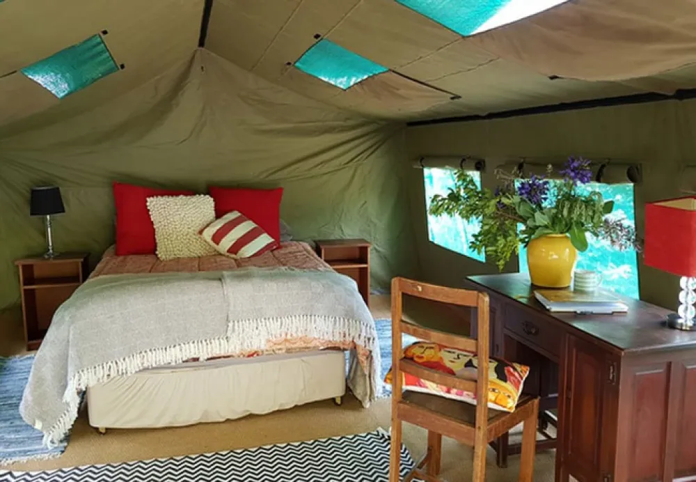 Love Lions Alive Sanctuary