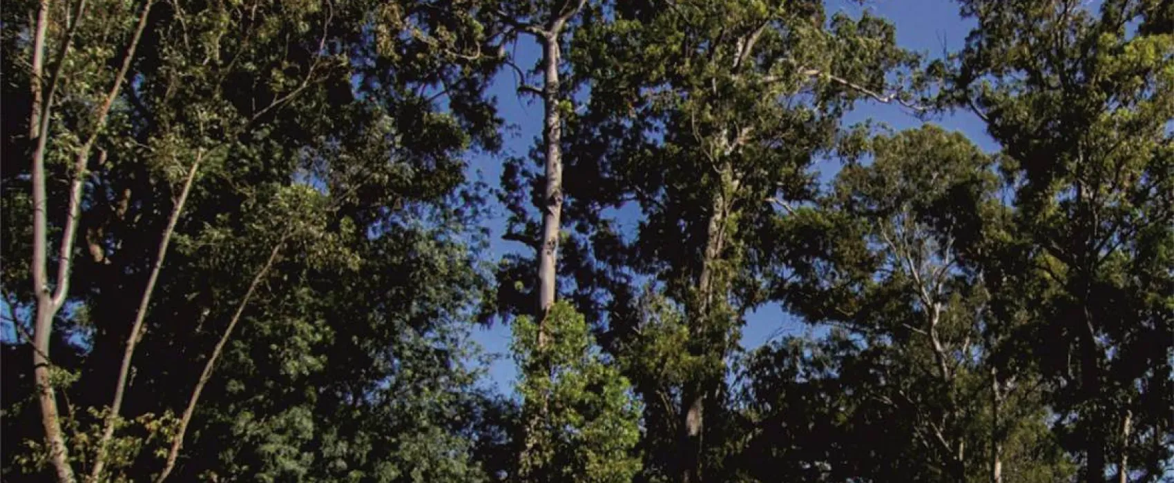 Lisboa Camping & Bungalows