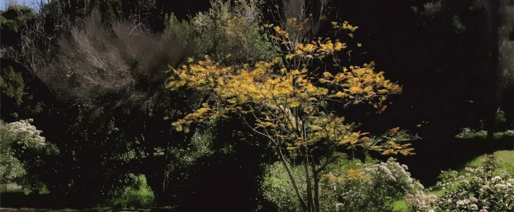 Lisboa Camping & Bungalows