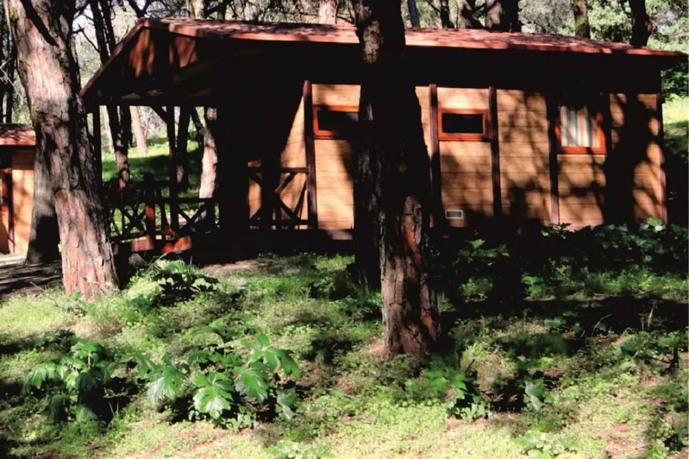 Lisboa Camping & Bungalows