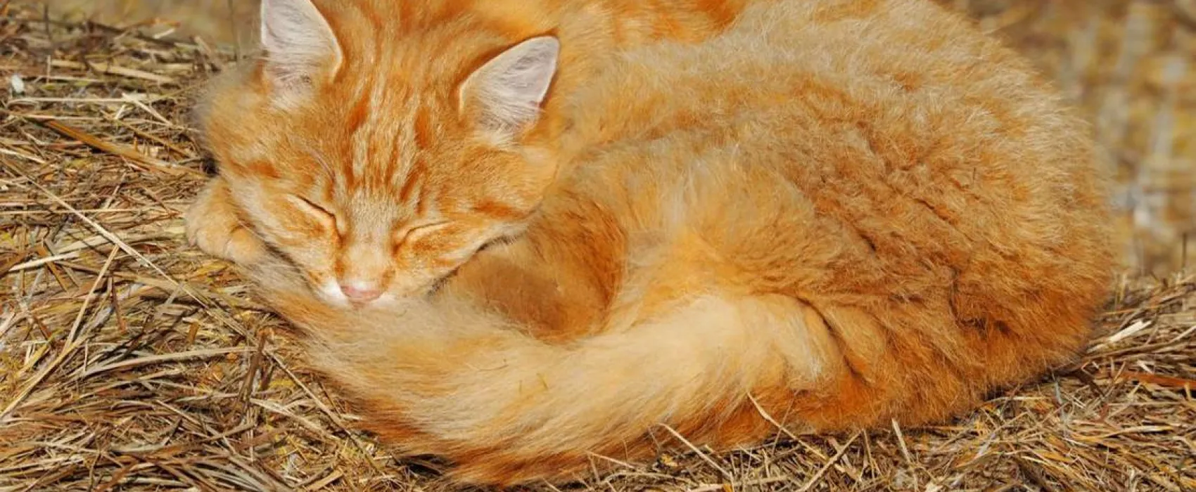 KlosterGut Schlehdorf