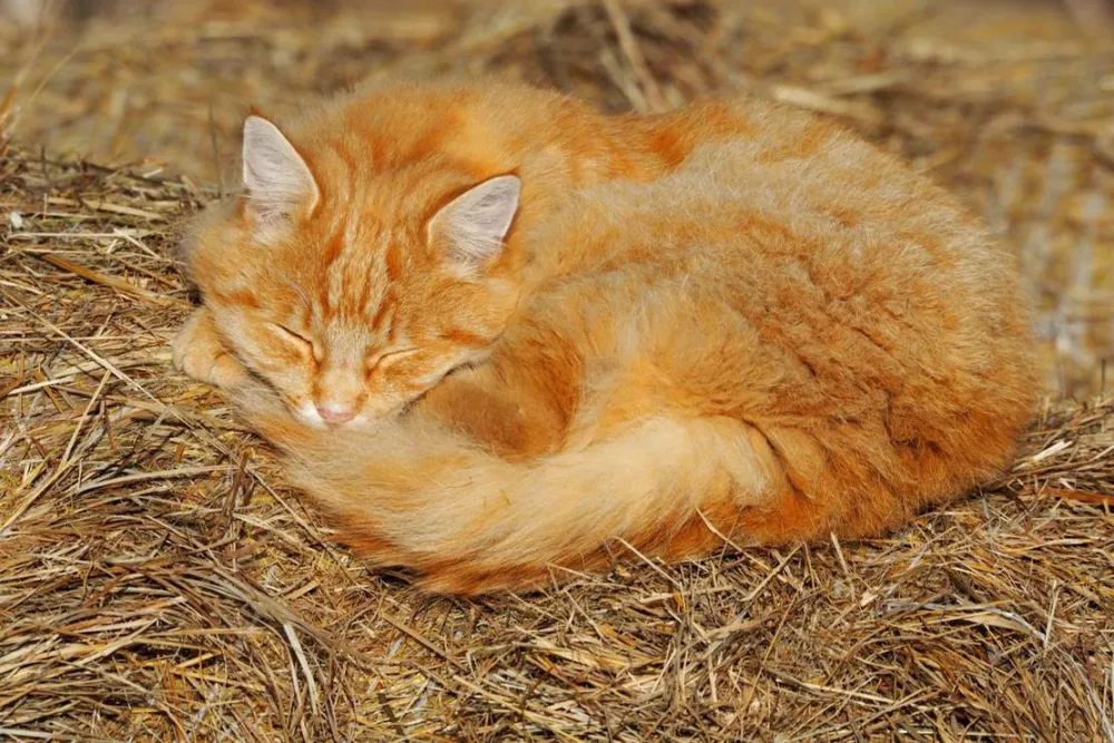 KlosterGut Schlehdorf