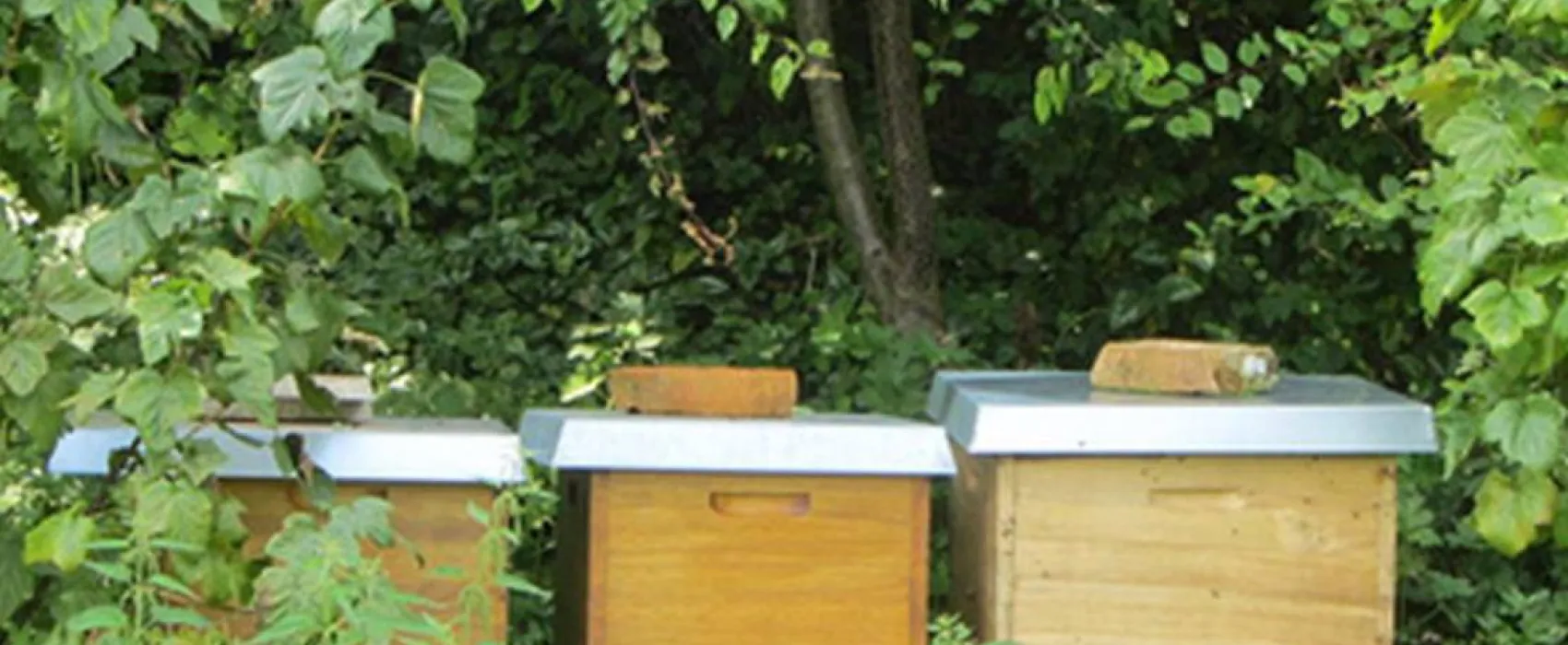 KlosterGut Schlehdorf