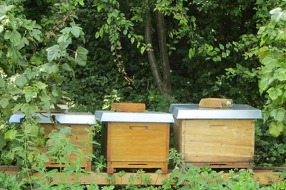 KlosterGut Schlehdorf