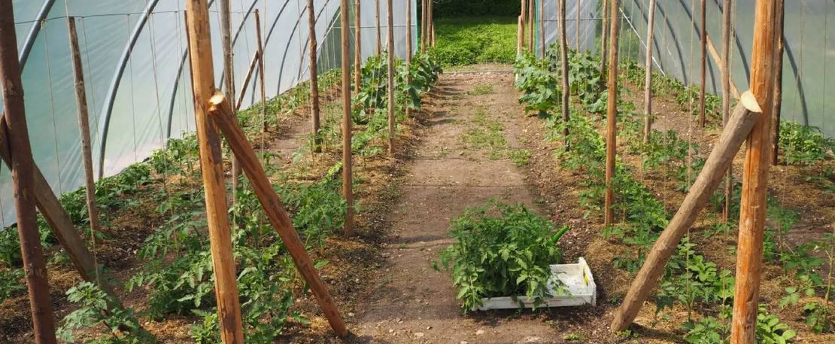 KlosterGut Schlehdorf