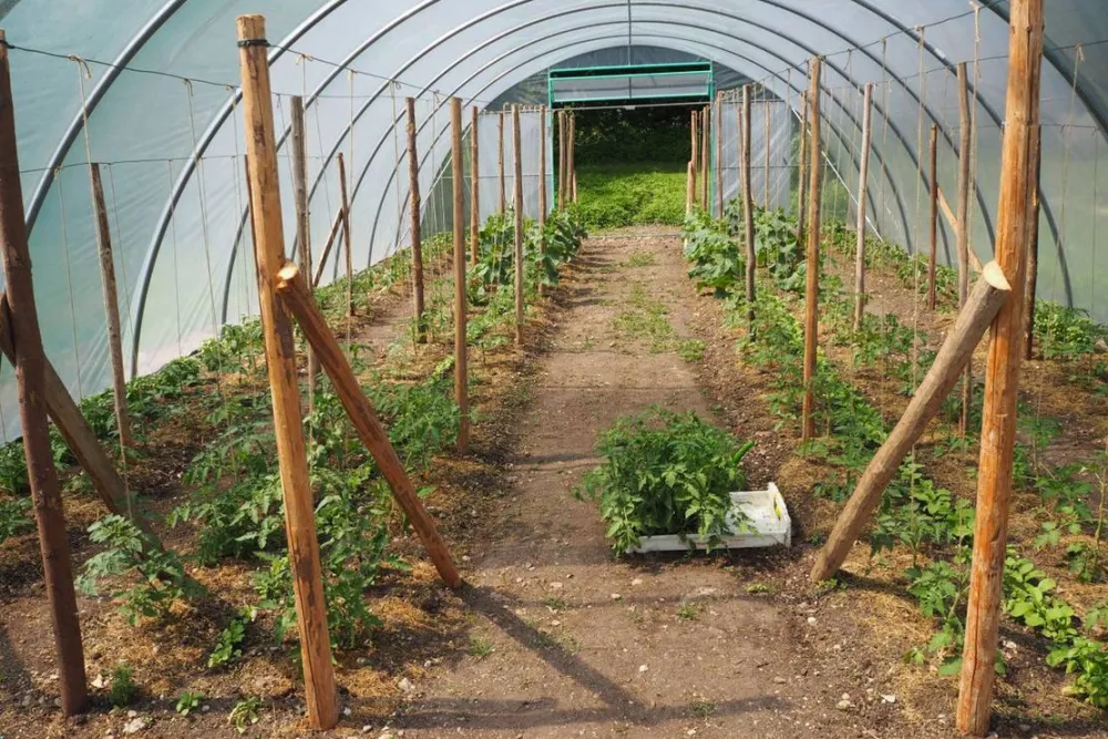 KlosterGut Schlehdorf