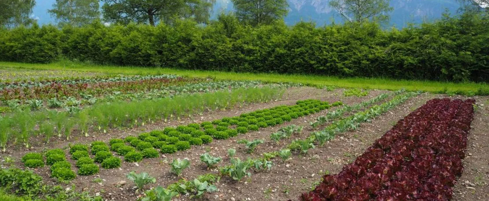 KlosterGut Schlehdorf