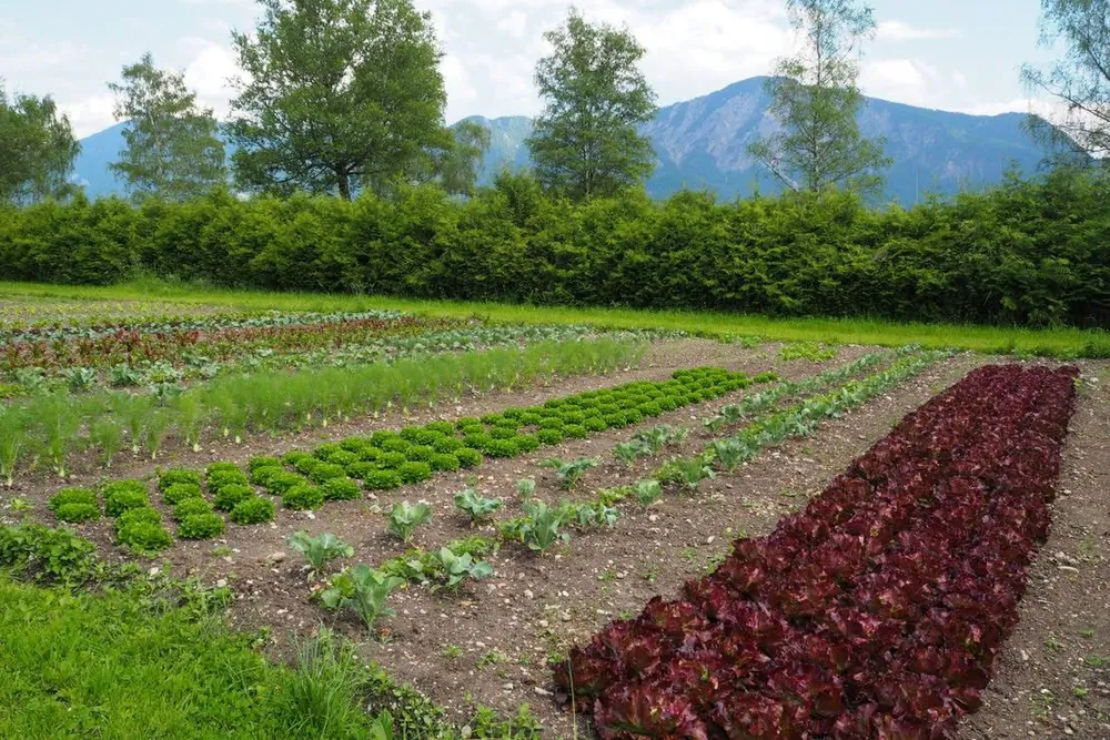 KlosterGut Schlehdorf