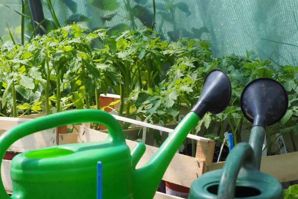 KlosterGut Schlehdorf