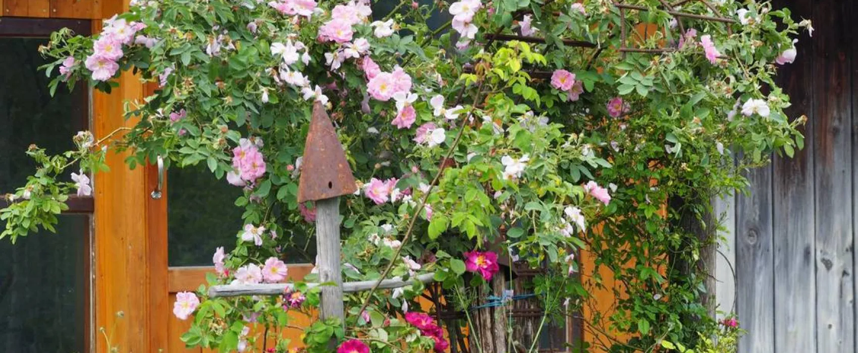 KlosterGut Schlehdorf