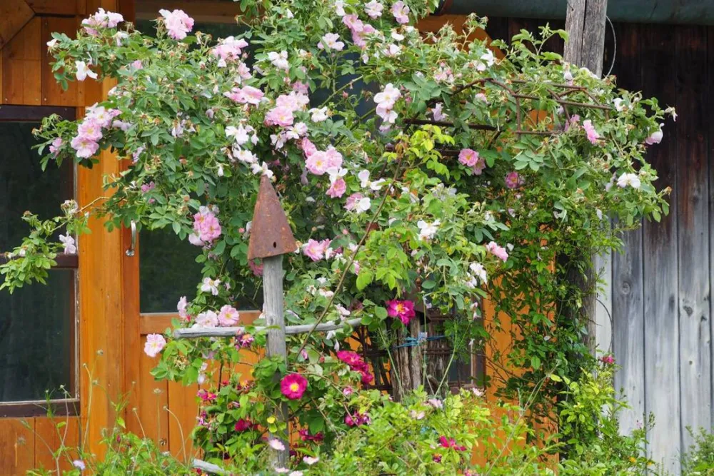 KlosterGut Schlehdorf