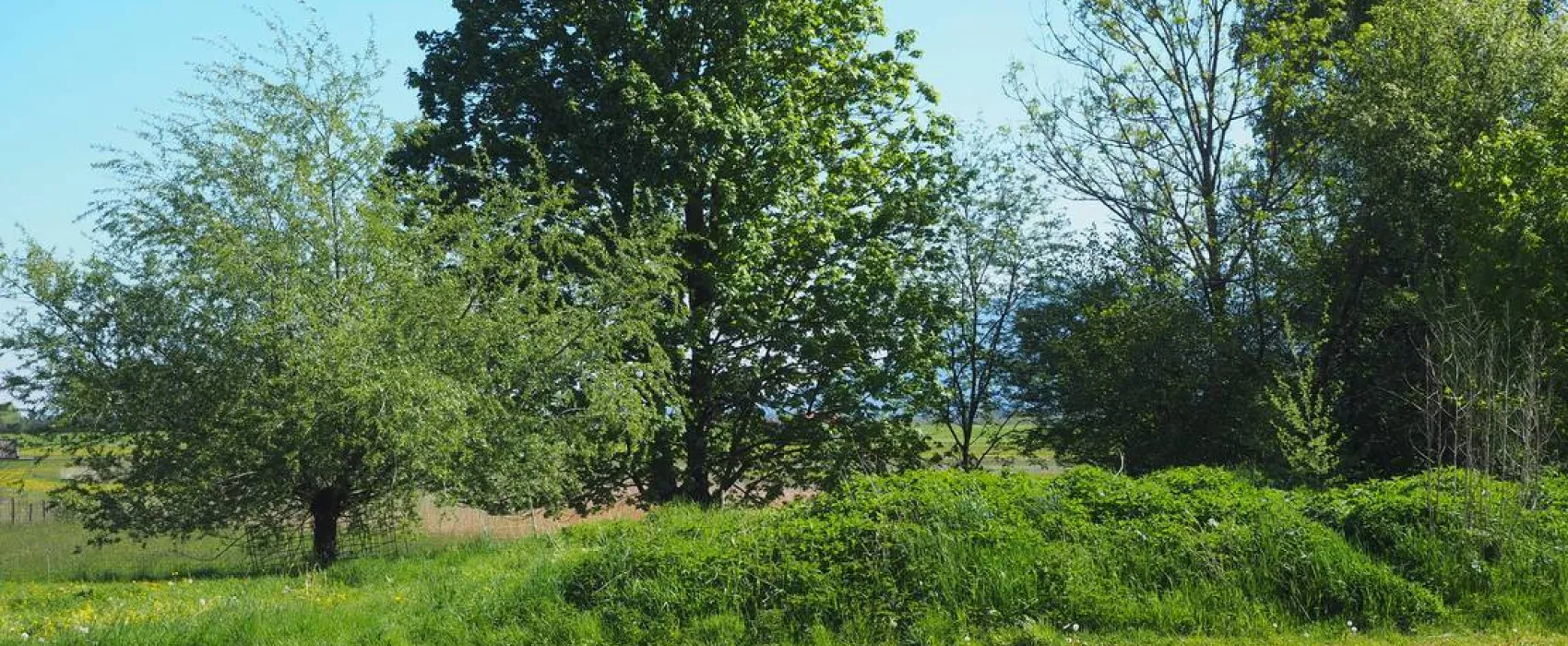 KlosterGut Schlehdorf