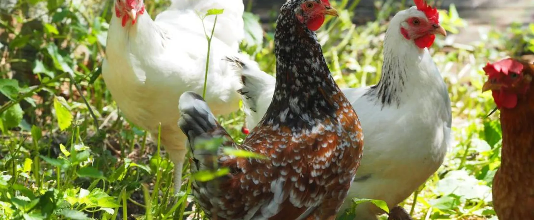 KlosterGut Schlehdorf