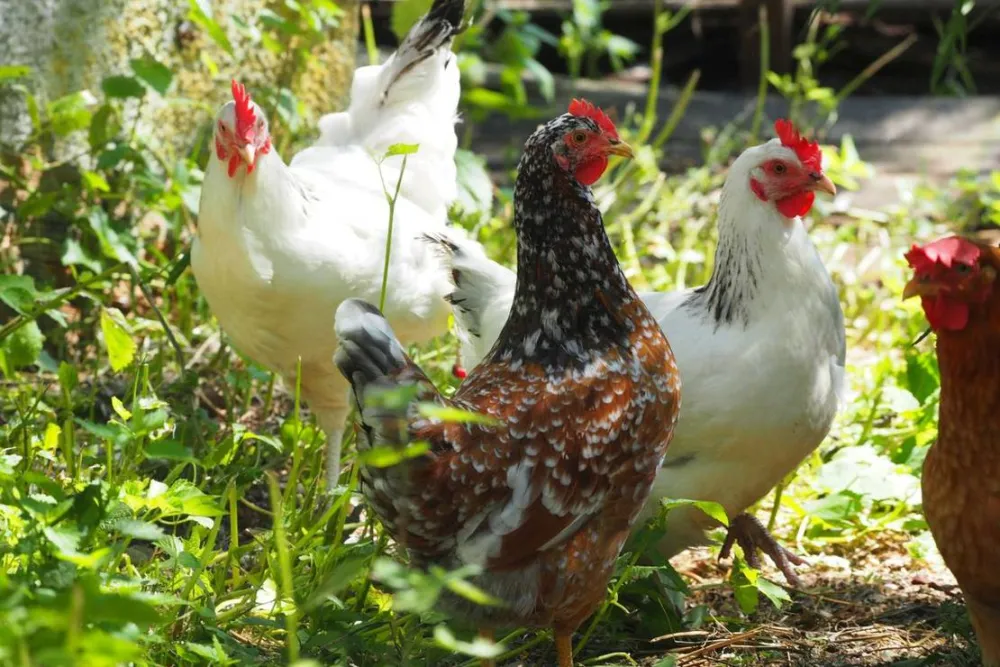 KlosterGut Schlehdorf