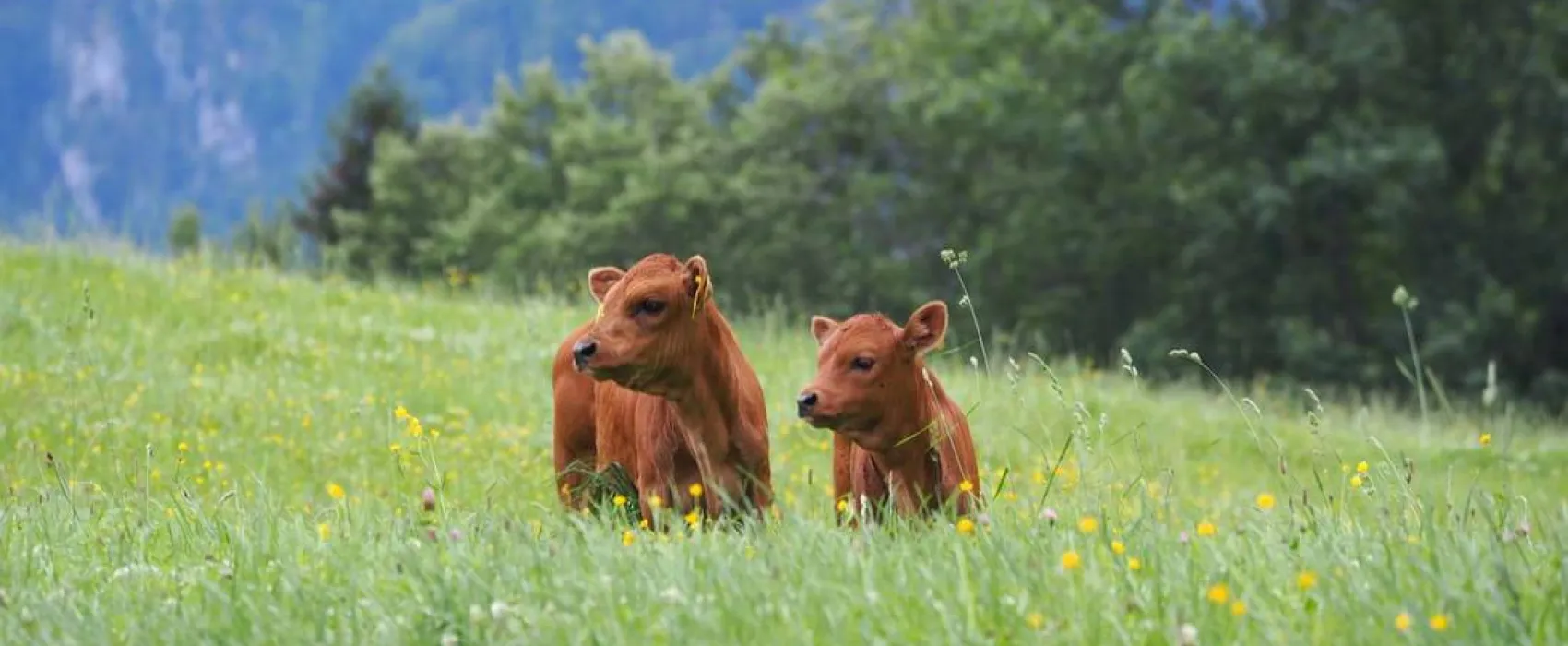 KlosterGut Schlehdorf