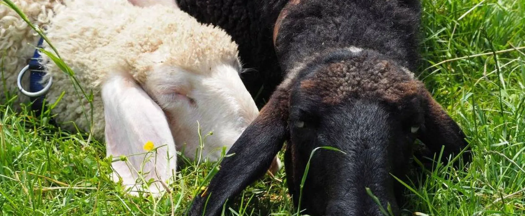 KlosterGut Schlehdorf