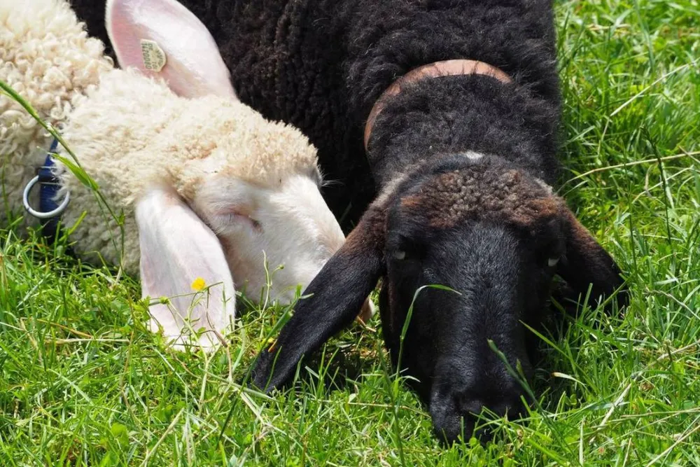 KlosterGut Schlehdorf