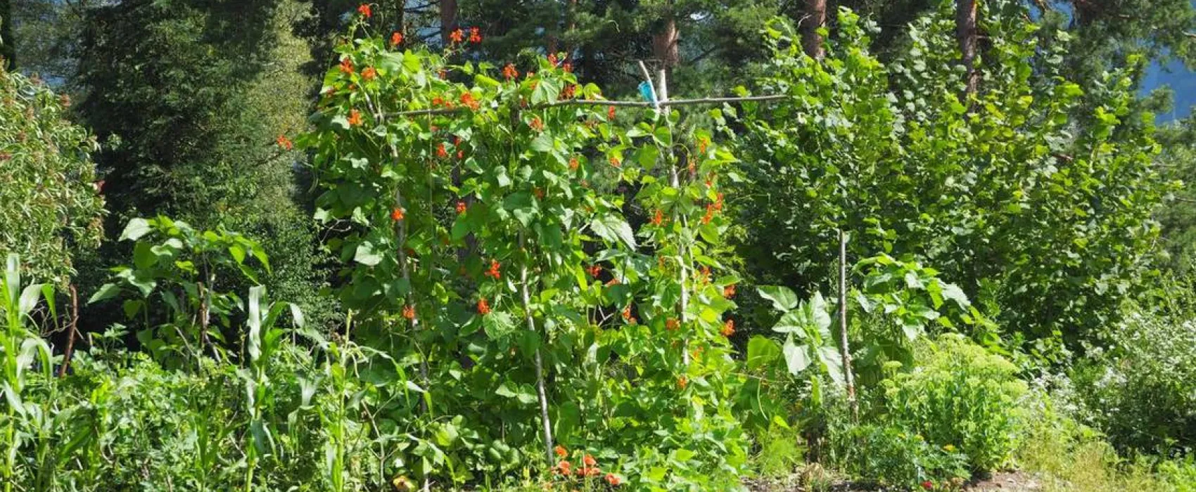 KlosterGut Schlehdorf