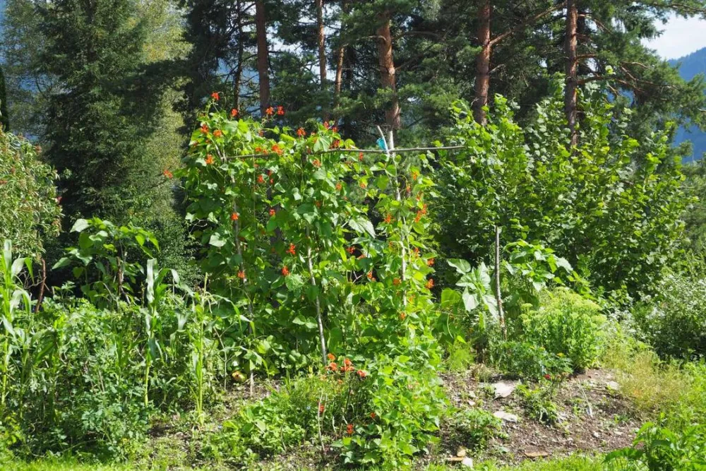 KlosterGut Schlehdorf