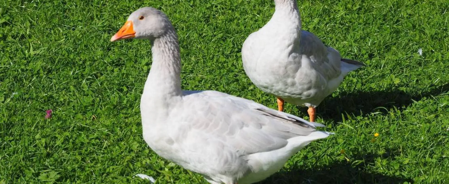 KlosterGut Schlehdorf