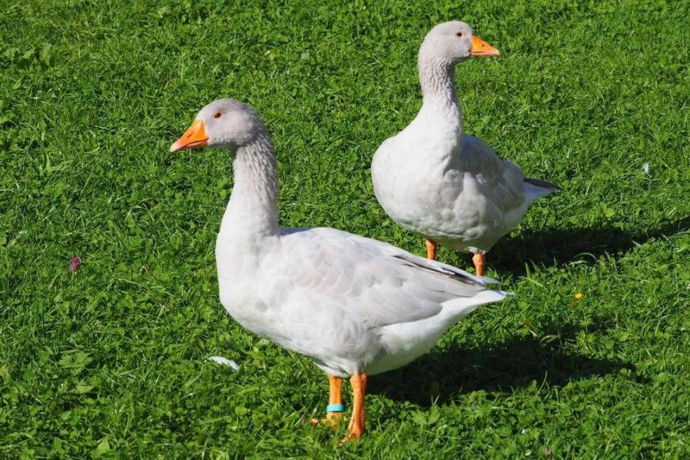 KlosterGut Schlehdorf