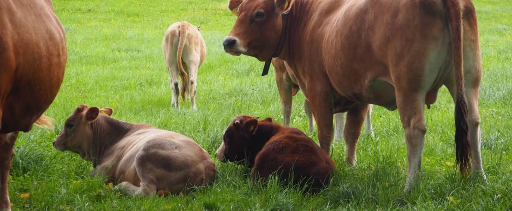 KlosterGut Schlehdorf