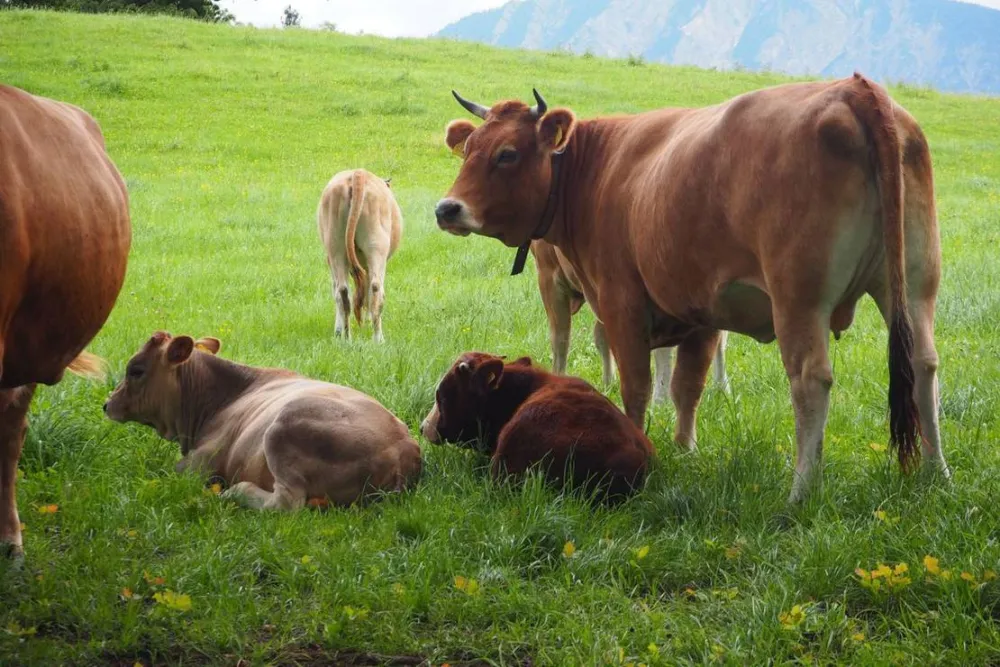 KlosterGut Schlehdorf