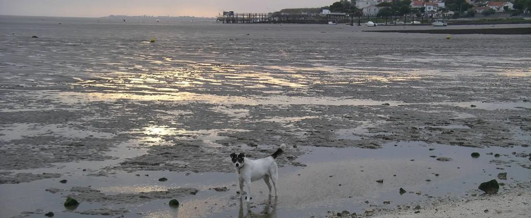 Camping municipal L'espérance