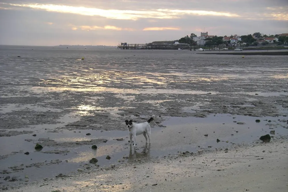 Camping municipal L'espérance