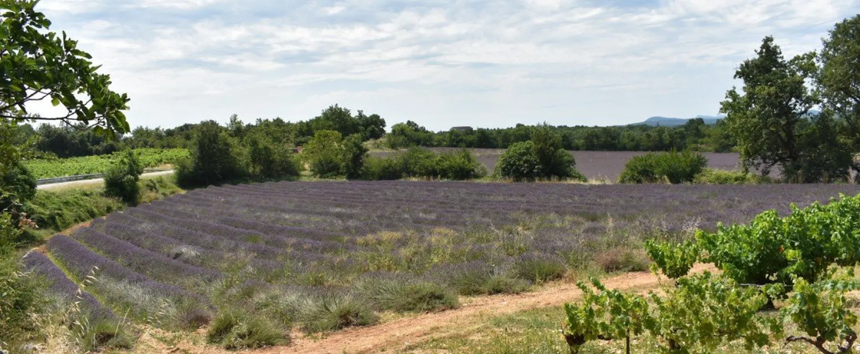 RCN La Bastide en Ard&egrave;che