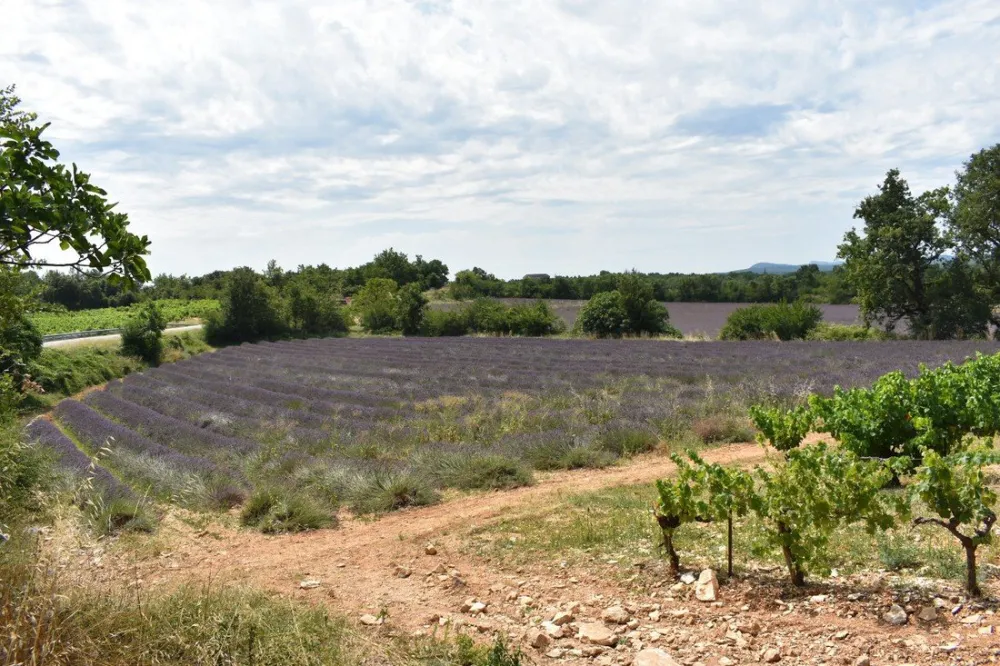 RCN La Bastide en Ard&egrave;che
