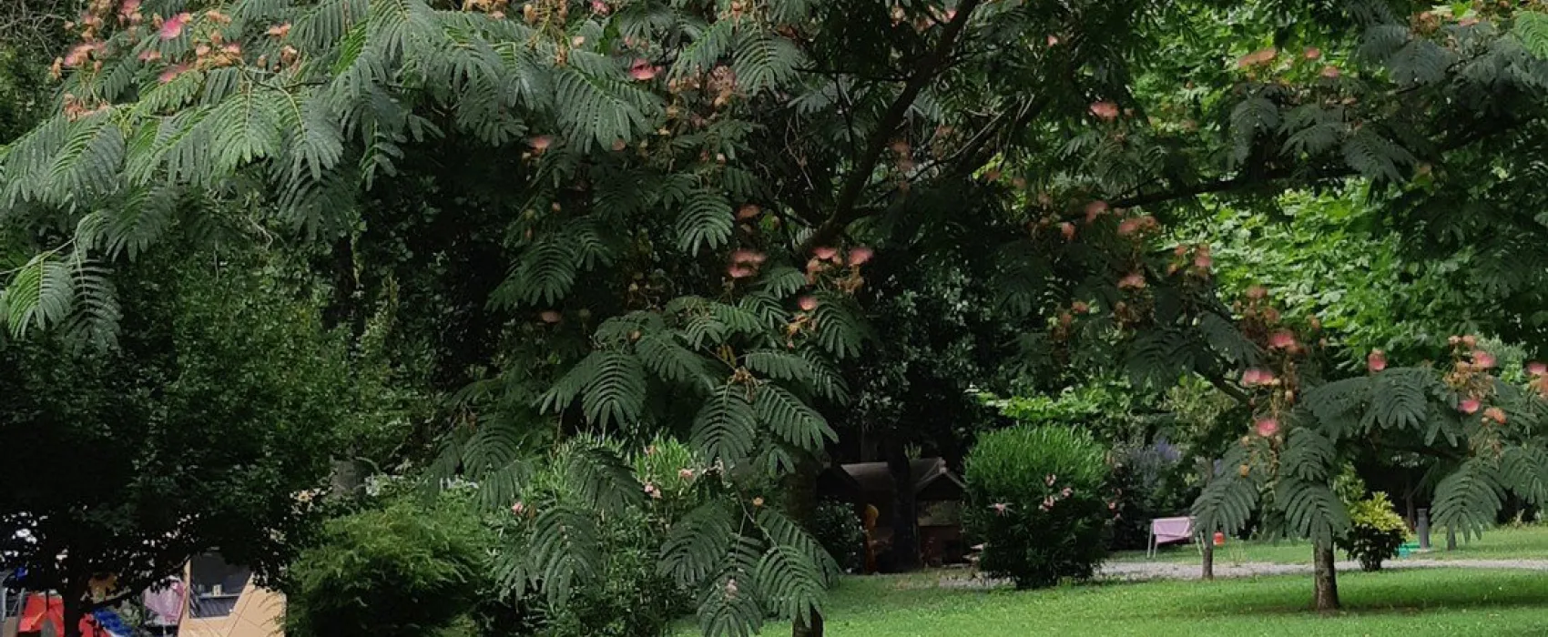 RCN La Bastide en Ard&egrave;che