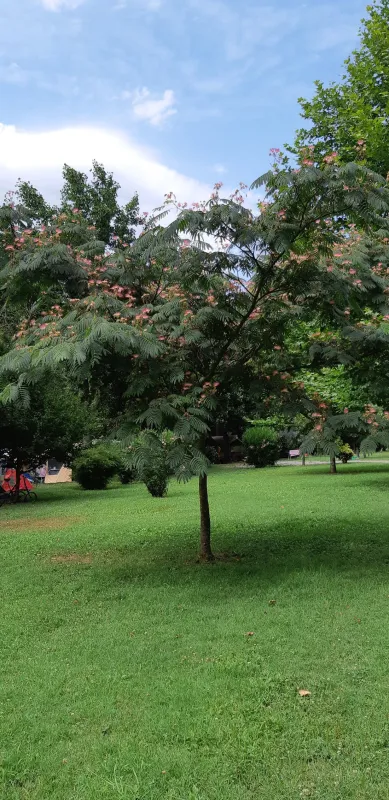 RCN La Bastide en Ard&egrave;che