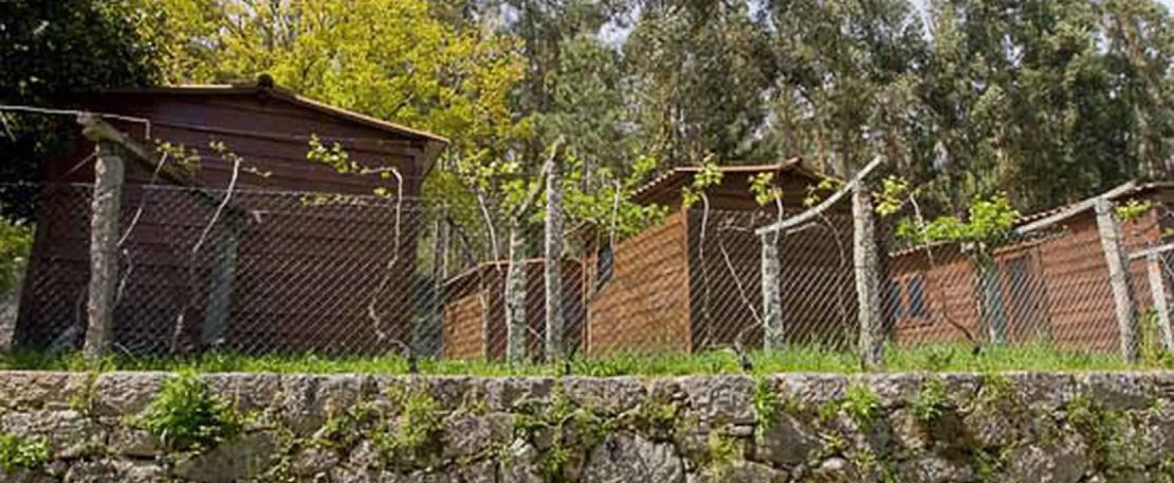 Camping Quinta Da Viña Grande