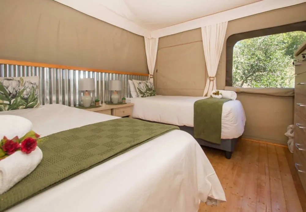 Idwala Le Ingwe Tent