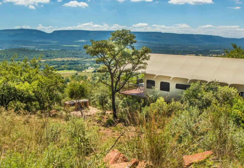 Idwala Le Ingwe Tent