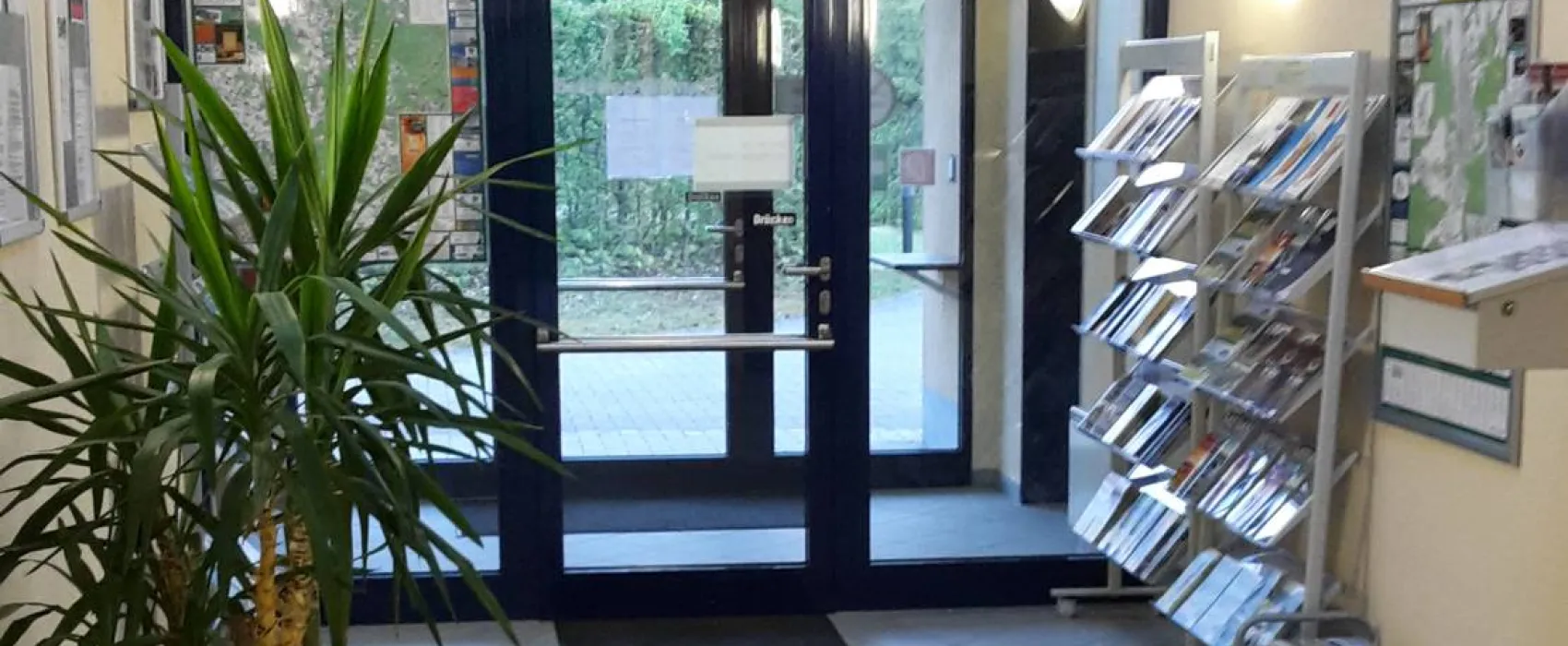 Camping Rohrer Stirn