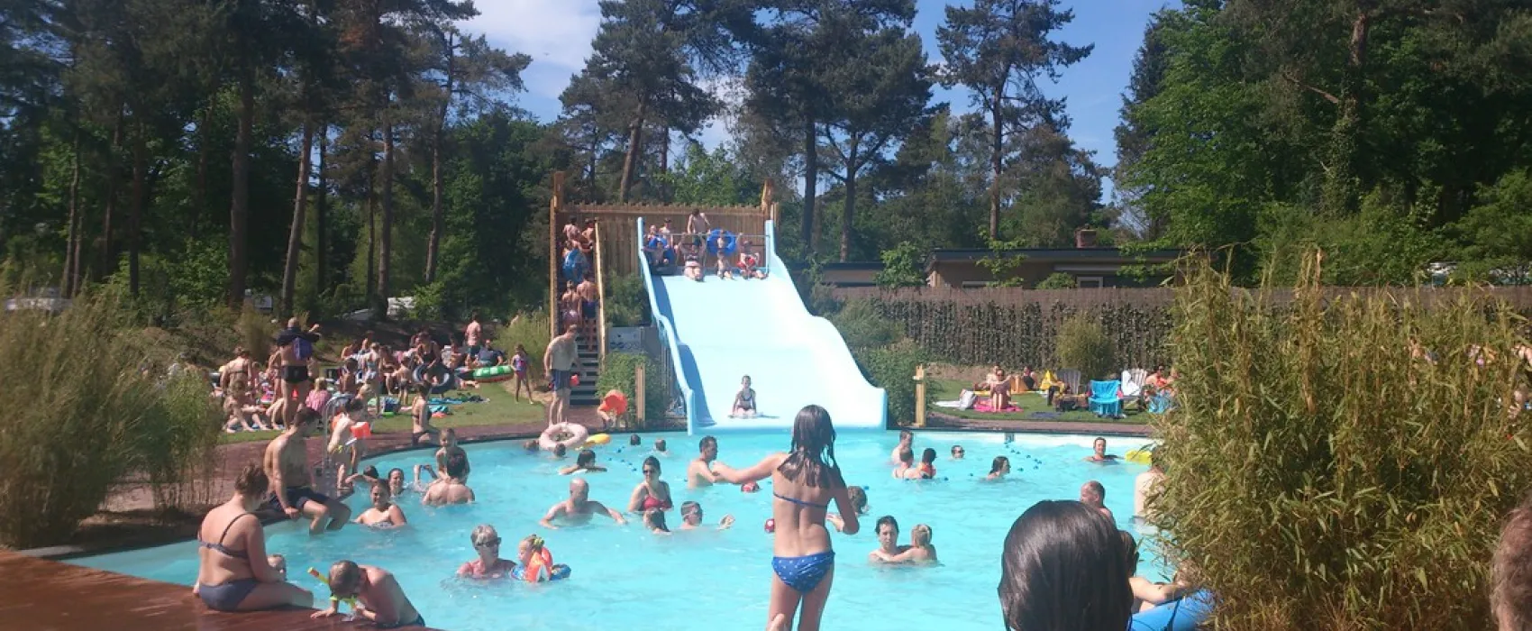 TopParken - Resort Veluwe (vh De Hertshoorn)