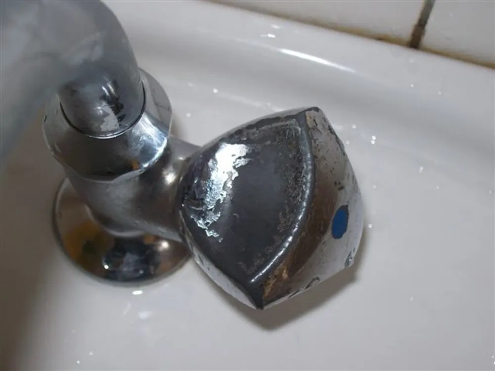 TopParken - Resort Veluwe (vh De Hertshoorn)