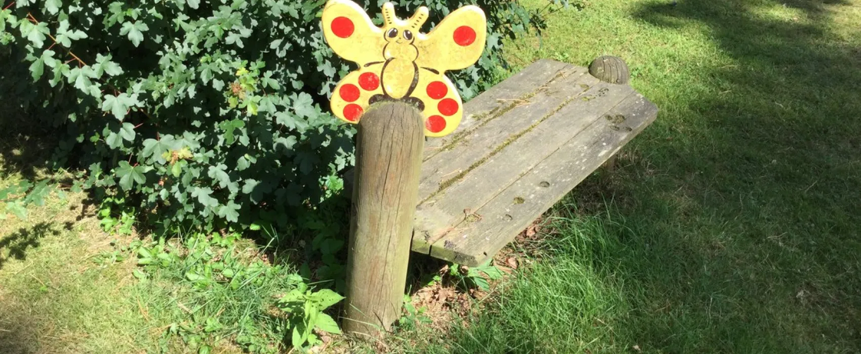 TopParken - Resort Veluwe (vh De Hertshoorn)