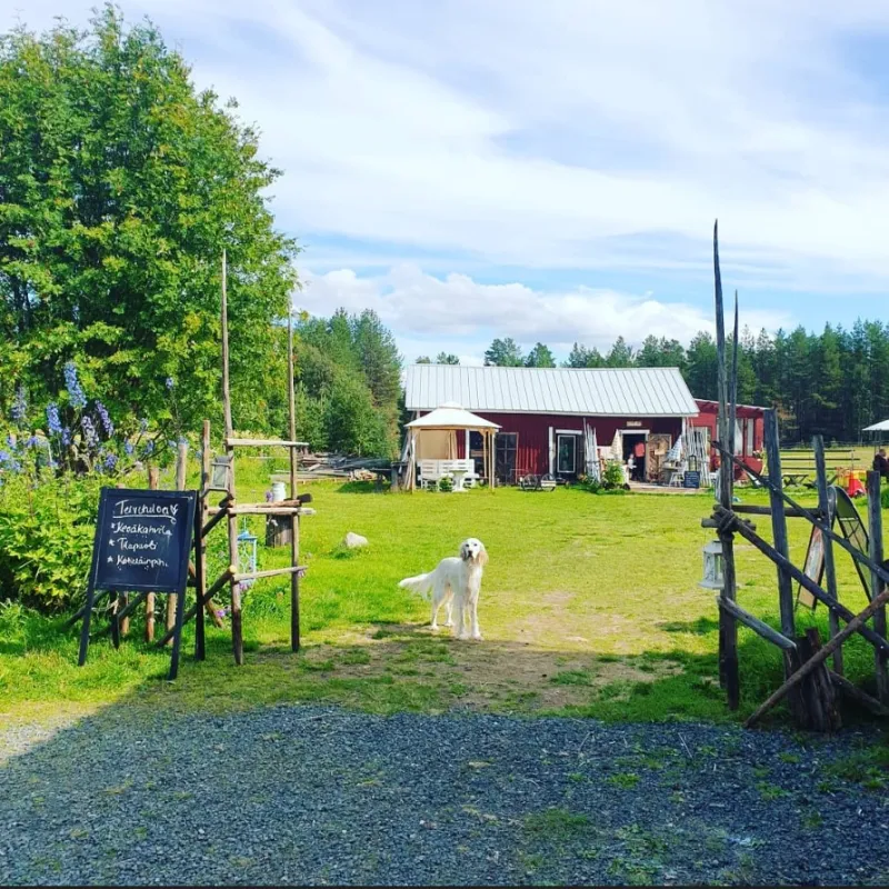 Maalaispysäkki Arola