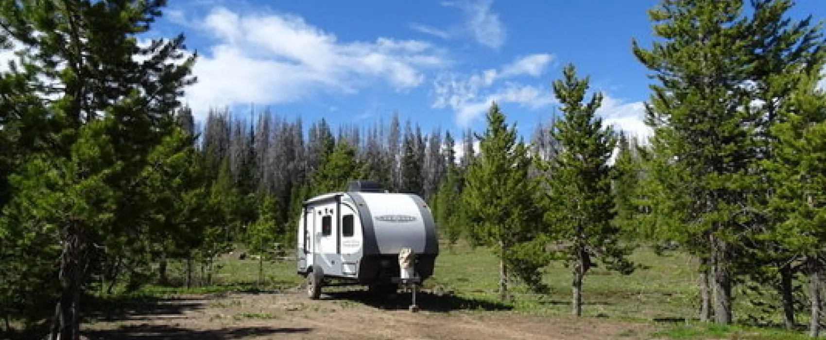 Rabbit Ears Pass West Dispersed Camping