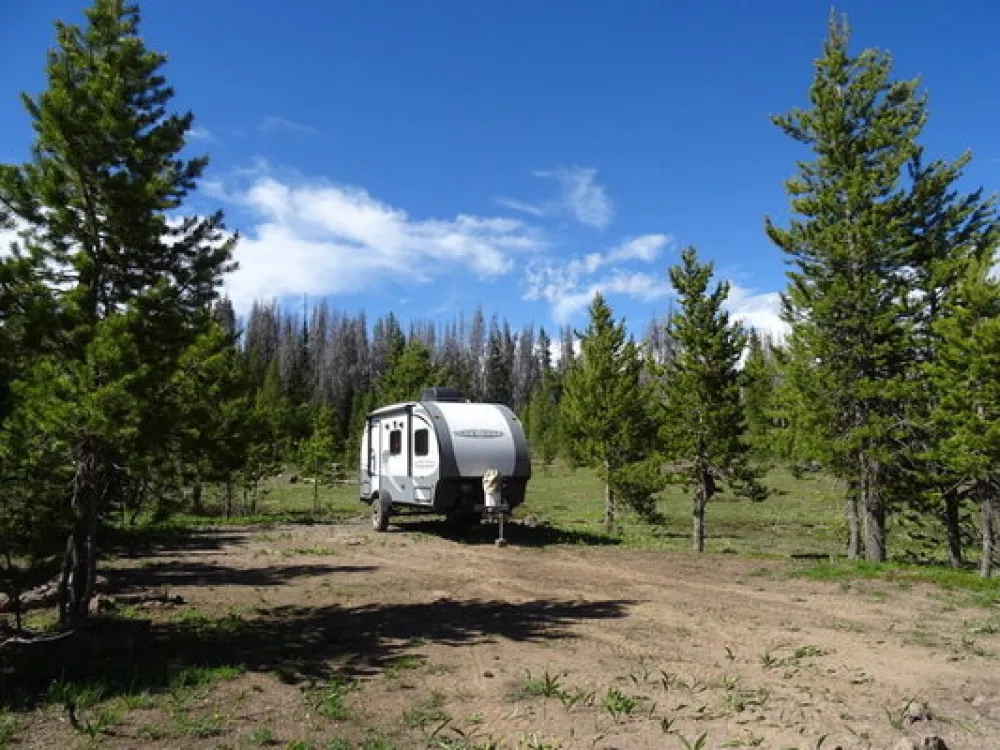 Rabbit Ears Pass West Dispersed Camping
