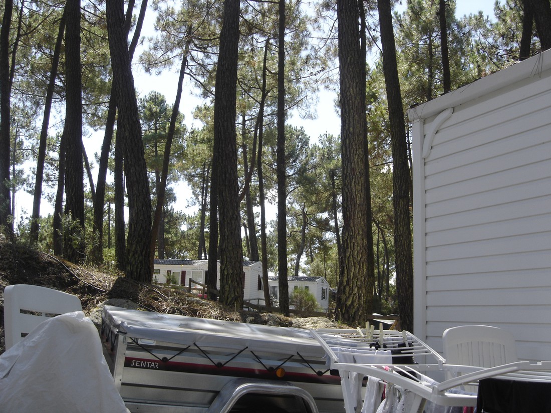 Bonne Anse Chalets photo 4