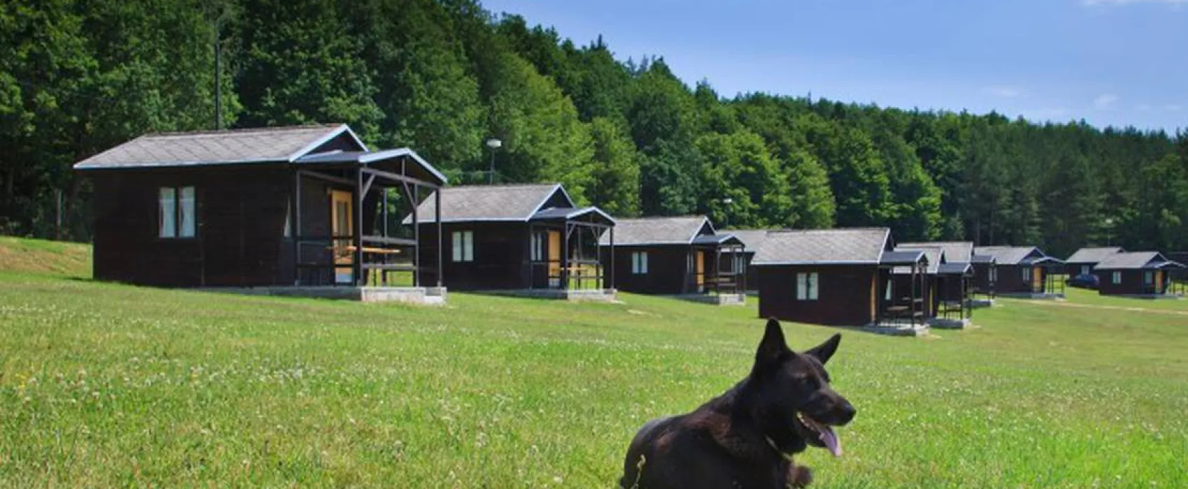 Autokemp Wilsonka na Dalešické přehradě