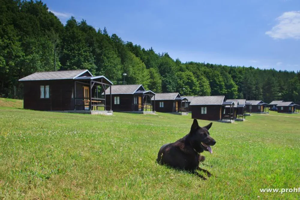 Autokemp Wilsonka na Dalešické přehradě