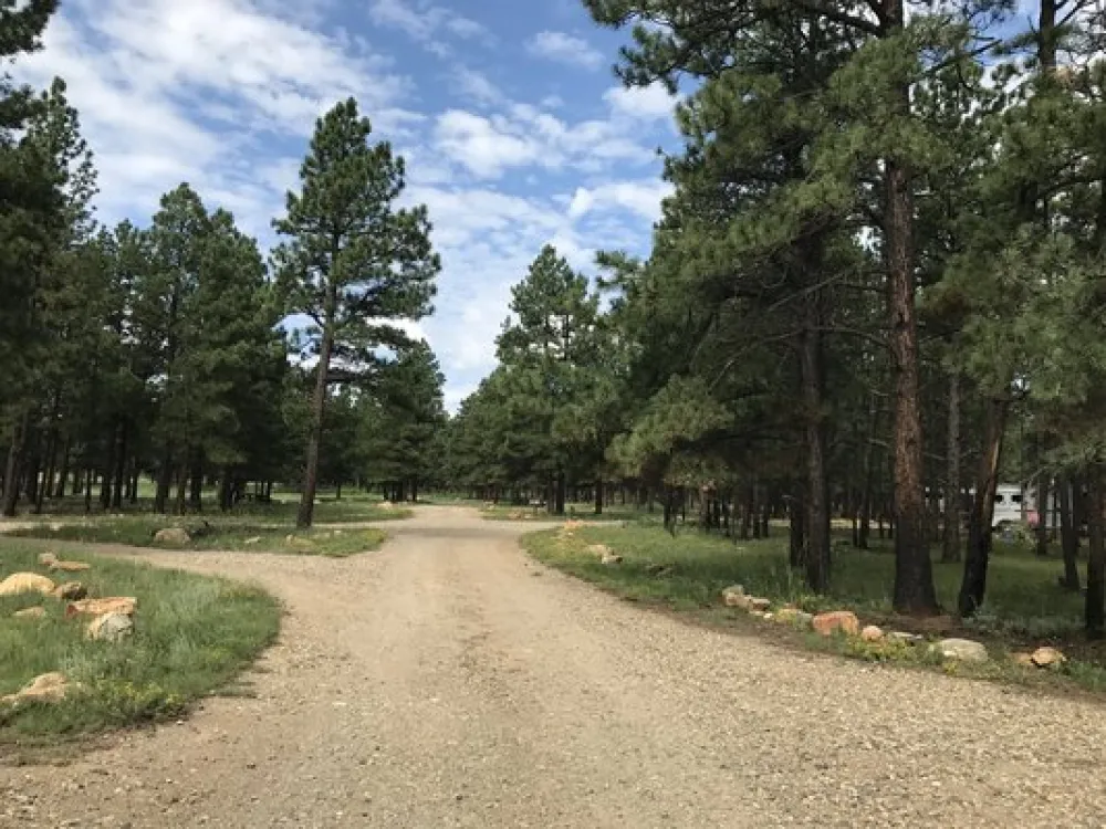 McCrystal Campground