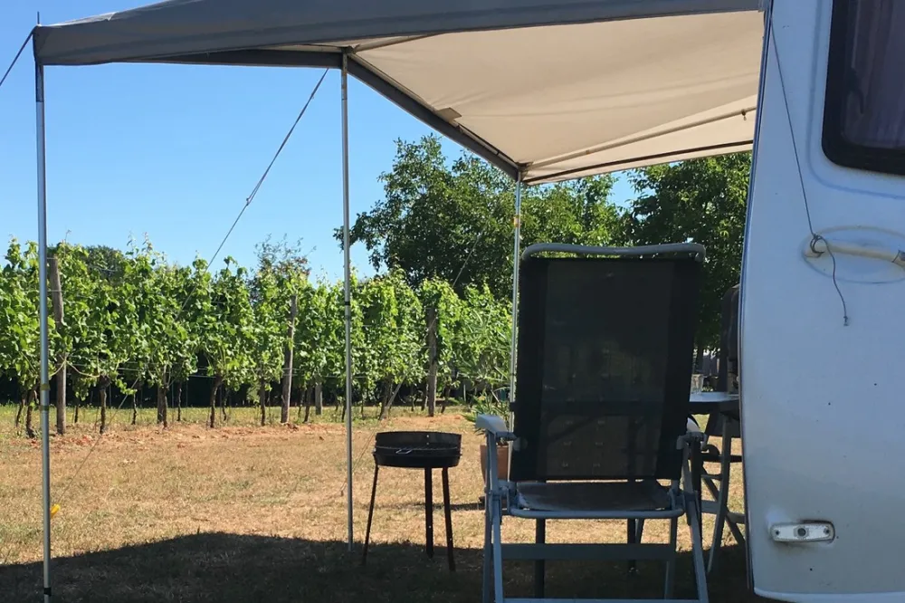 Wijndomein Erve Wisselink